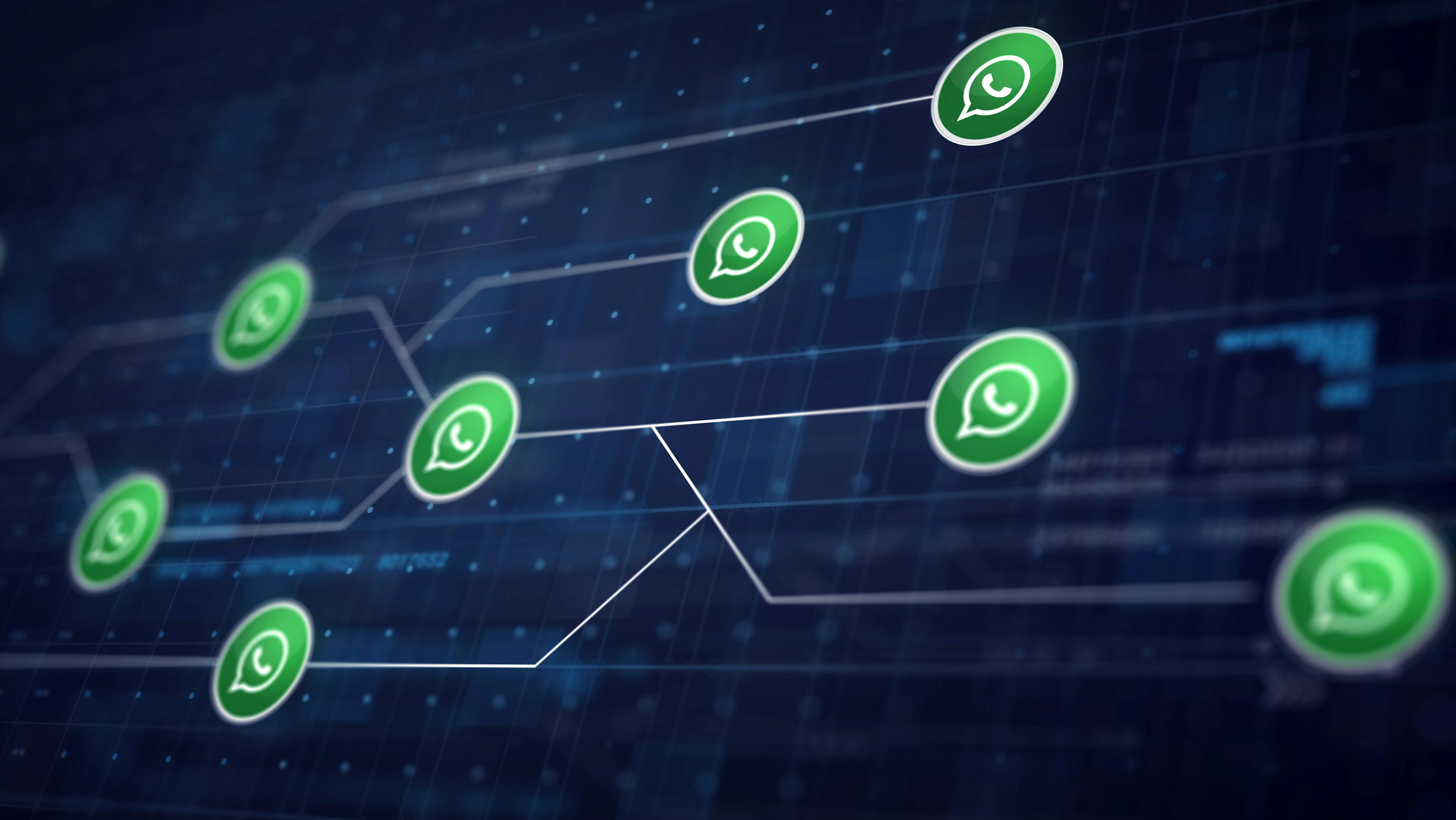 כיצד ללכוד ולהכשיר לידים באמצעות WhatsApp: מדריך מעשי